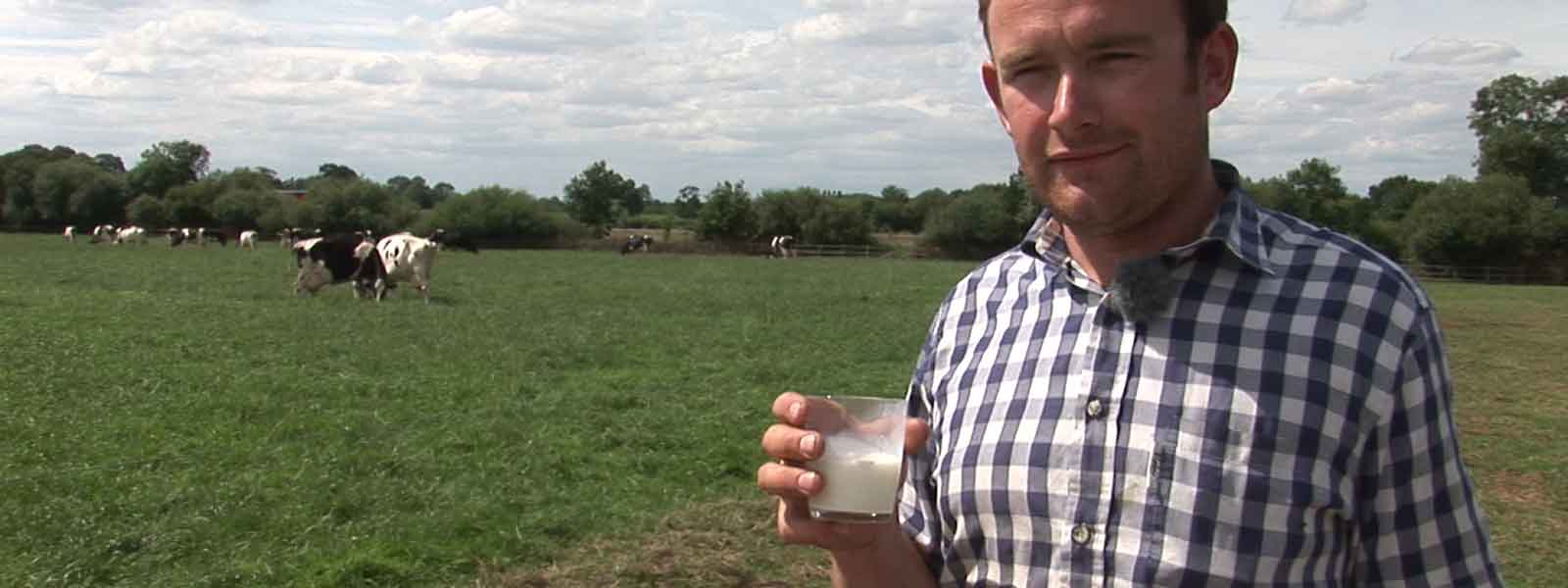 milk